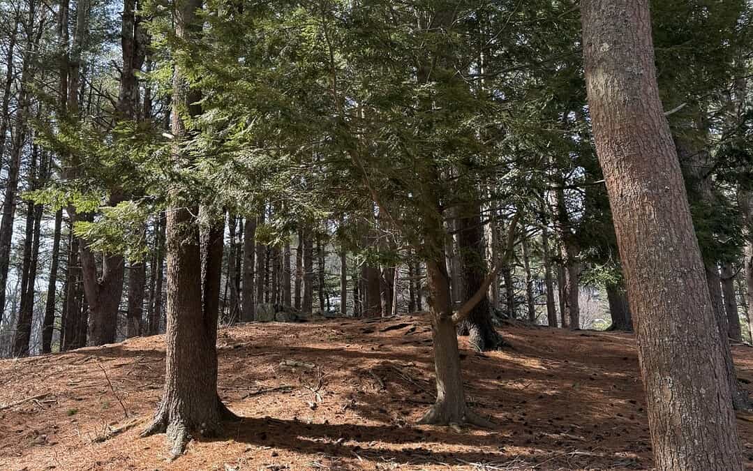 Winter Lessons and Hopes for Spring